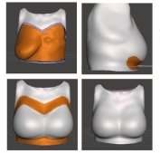 Picture of the project Automatic manipulation of body scan meshes for post-mastectomy bra